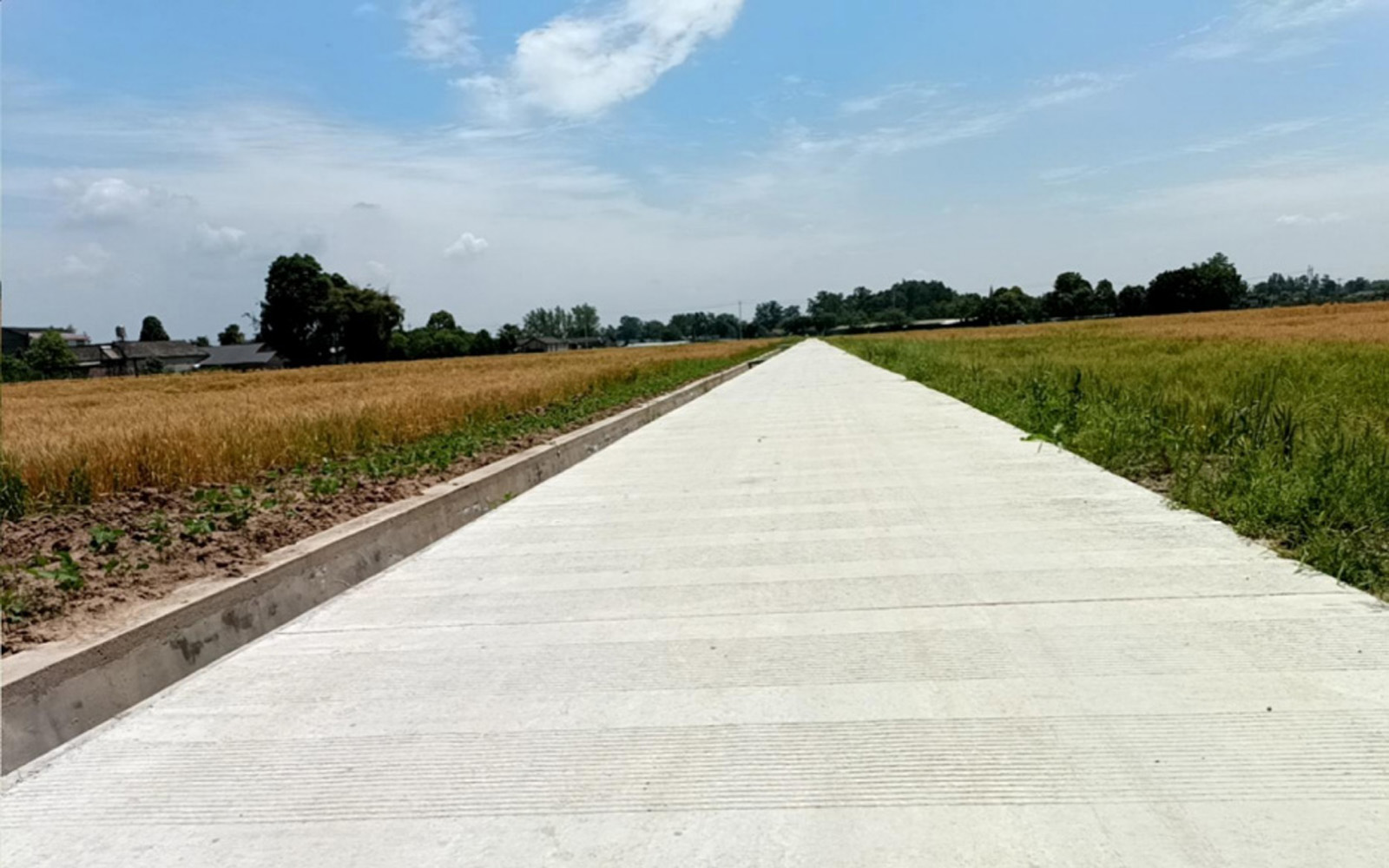 高标准农田1 高标准农田1